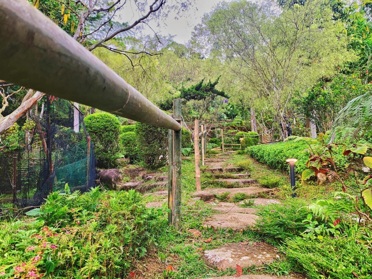 בוקיט טינגי Harmony Valley Retreat מראה חיצוני תמונה