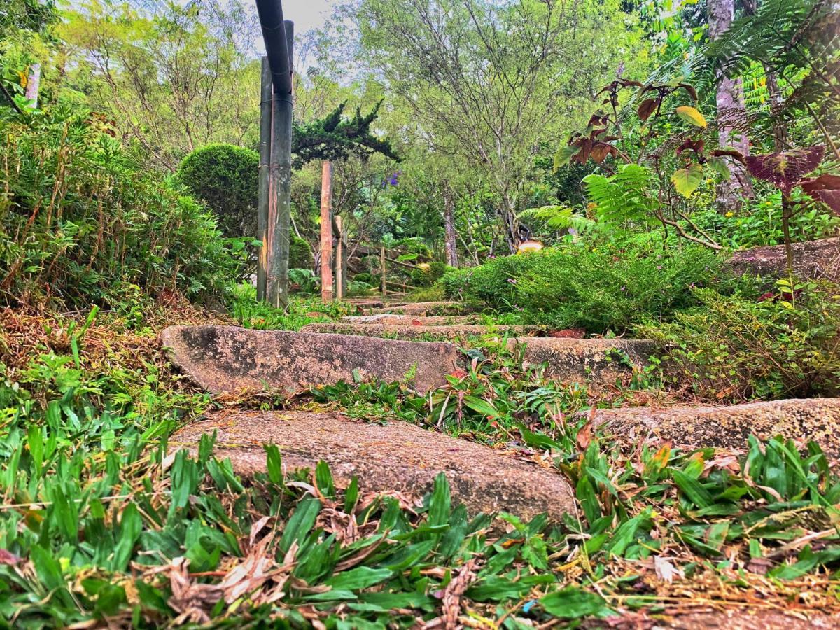 בוקיט טינגי Harmony Valley Retreat מראה חיצוני תמונה