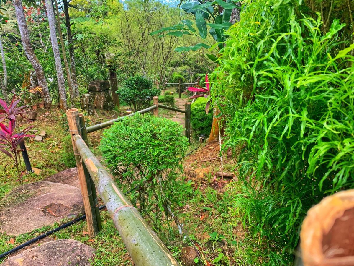 בוקיט טינגי Harmony Valley Retreat מראה חיצוני תמונה