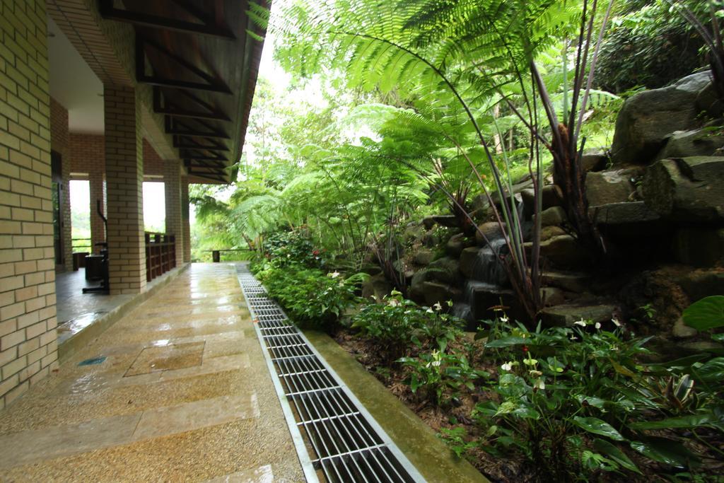 בוקיט טינגי Harmony Valley Retreat מראה חיצוני תמונה