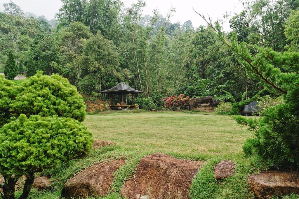 בוקיט טינגי Harmony Valley Retreat מראה חיצוני תמונה
