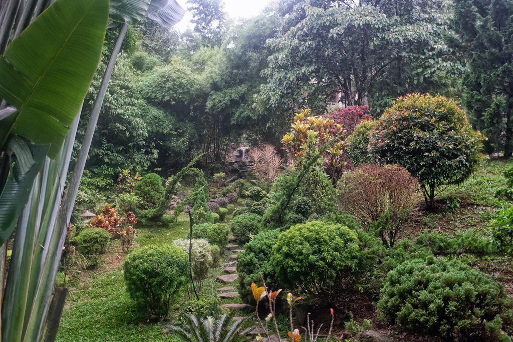 בוקיט טינגי Harmony Valley Retreat מראה חיצוני תמונה