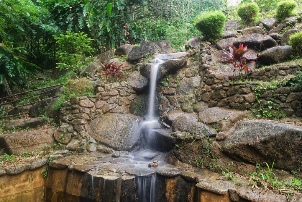 בוקיט טינגי Harmony Valley Retreat מראה חיצוני תמונה