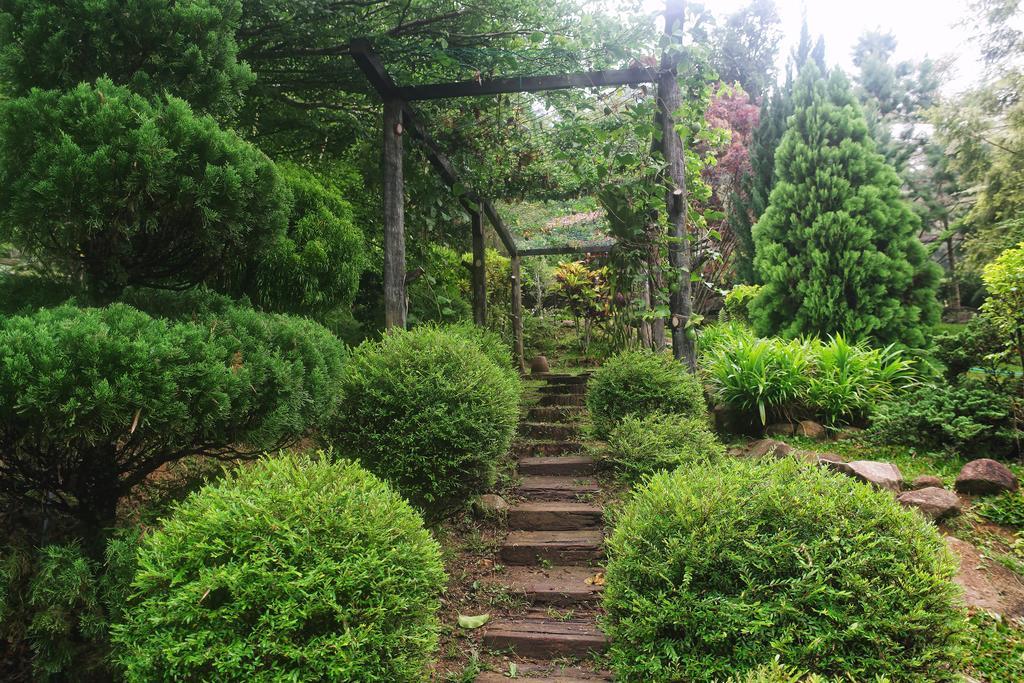 בוקיט טינגי Harmony Valley Retreat מראה חיצוני תמונה