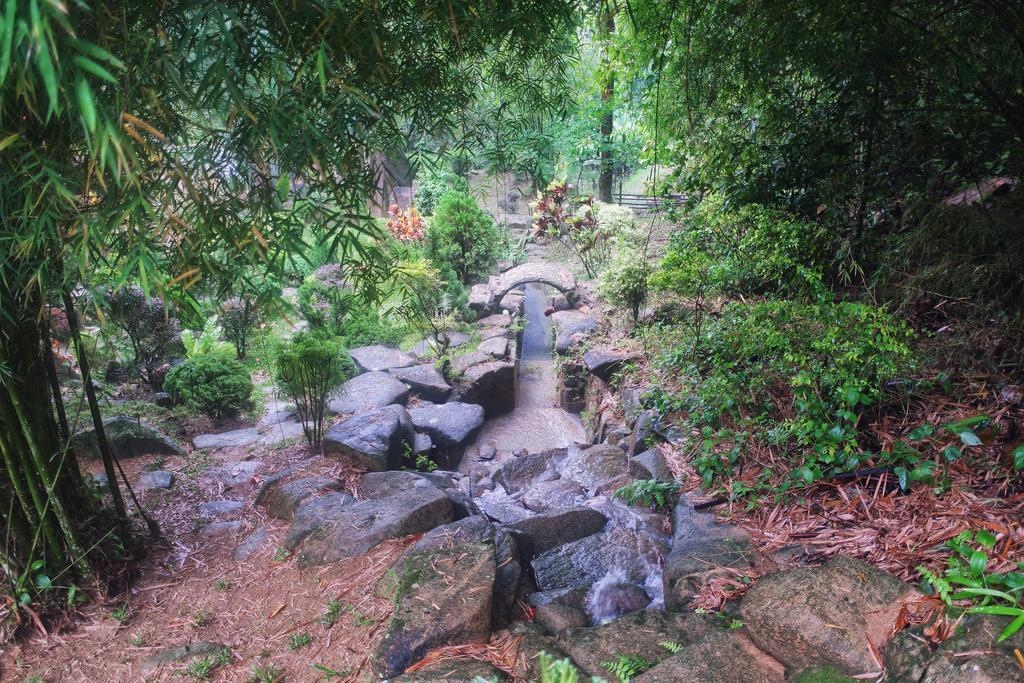 בוקיט טינגי Harmony Valley Retreat מראה חיצוני תמונה