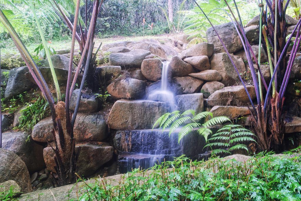 בוקיט טינגי Harmony Valley Retreat מראה חיצוני תמונה