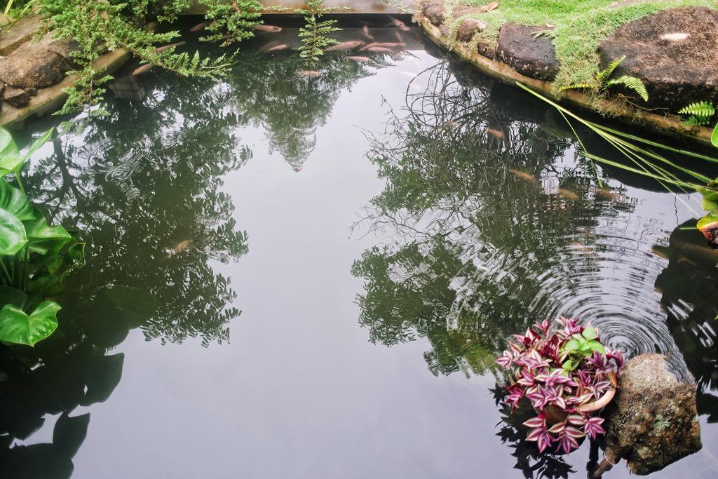 בוקיט טינגי Harmony Valley Retreat מראה חיצוני תמונה