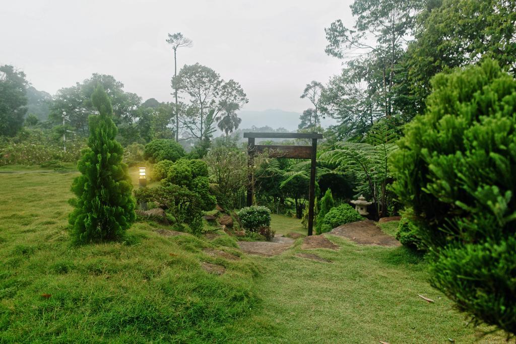 בוקיט טינגי Harmony Valley Retreat מראה חיצוני תמונה